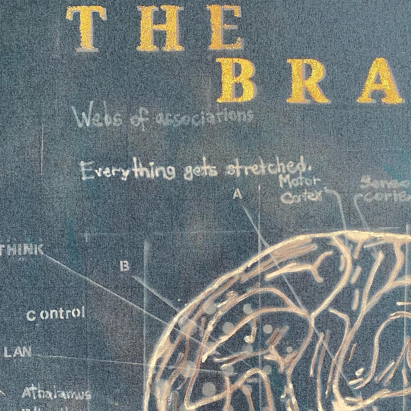 The brain blueprint